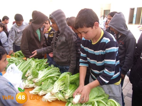 sooqelzahra2lud602 (39).JPG